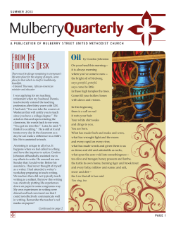 Quarterly Mulberry