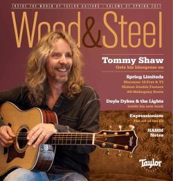 Tommy Shaw Spring Limiteds Doyle Dykes &amp; the Lights Expressionism