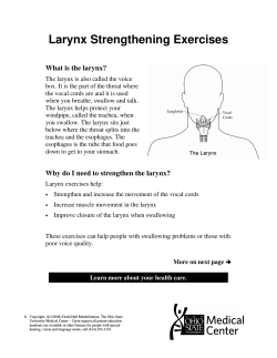 Larynx Strengthening Exercises What is the larynx?