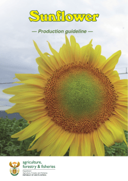 Sunflower — Production guideline — DJULFXOWXUH IRUHVWU\	ILVKHULHV