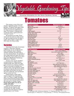 Tomatoes  Indeterminates Resistance Listed