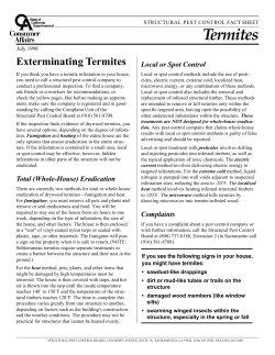 Termites Exterminating Termites Local or Spot Control