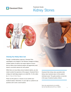 Kidney Stones Choosing Your Kidney Stone Care Treatment Guide