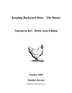 Keeping Backyard Hens – The Basics Vancouver B.C. Metro Area Edition