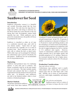 Sunflower for Seed Introduction