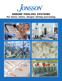 SHRIMP PEELING SYSTEMS For faster, better, cheaper shrimp processing