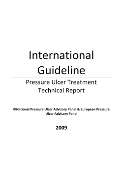 International Guideline Pressure Ulcer Treatment Technical Report