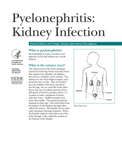 Pyelonephritis: Kidney Infection What is pyelonephritis? What is the urinary tract?