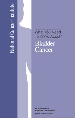 Bladder Cancer National Cancer Institute What You Need