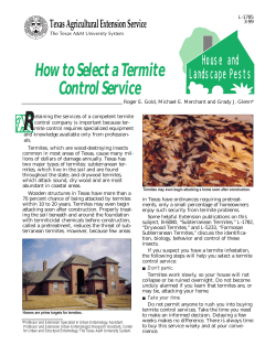 R How to Select a Termite Control Service House  and