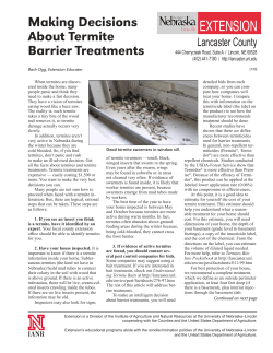 Making Decisions About Termite Barrier Treatments