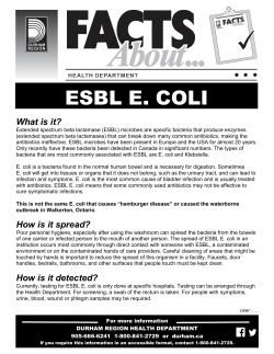 ESBL E. COLI What is it?