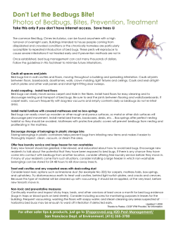 Don’t Let the Bedbugs Bite! Photos of Bedbugs, Bites, Prevention, Treatment