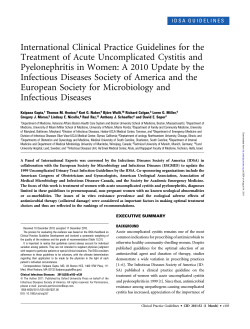 International Clinical Practice Guidelines for the