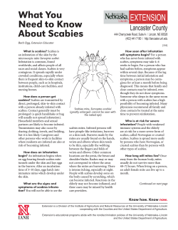 What You Need to Know About Scabies
