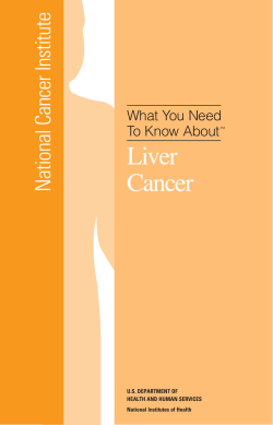 Liver Cancer National Cancer Institute What You Need