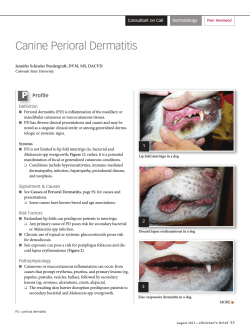 Canine Perioral Dermatitis Profile Definition Consultant on Call