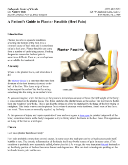 A Patient's Guide to Plantar Fasciitis (Heel Pain) Introduction