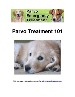 Parvo Treatment 101  This free report is brought to you by ParvoEmergencyTreatment.com