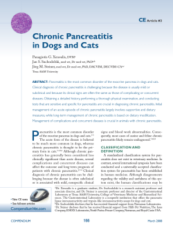 Chronic Pancreatitis in Dogs and Cats CE