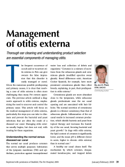 Management of otitis externa