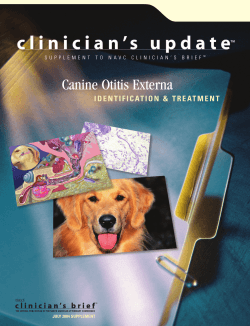 Canine Otitis Externa JULY 2004 SUPPLEMENT