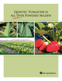 Quintec® Fungicide is All Over Powdery Mildew U N D E R