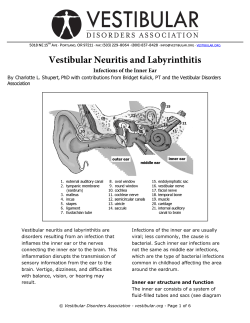 Vestibular Neuritis and Labyrinthitis Infections of the Inner Ear