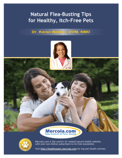 Natural Flea-Busting Tips for Healthy, Itch-Free Pets Dr. Karen Becker, DVM, NMD