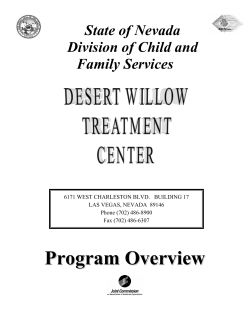 State of Nevada Division of Child and Family Services