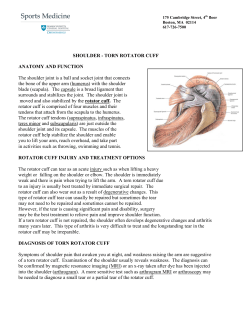 SHOULDER - TORN ROTATOR CUFF ANATOMY AND FUNCTION