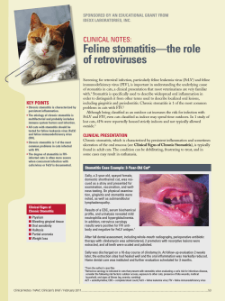 Feline stomatitis—the role of retroviruses CLINICAL NOTES: SPONSORED BY AN EDUCATIONAL GRANT FROM