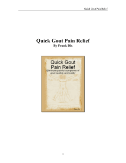 Quick Gout Pain Relief By Frank Dix  1