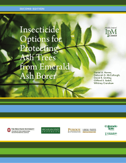Insecticide Options for Protecting Ash Trees