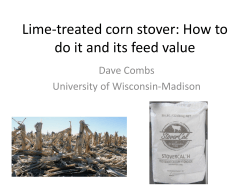 Lime-treated corn stover: How to do it and its feed value