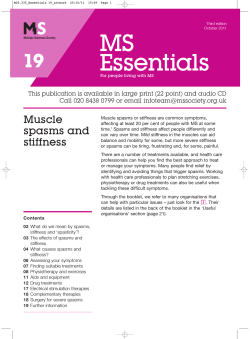 MS Essentials 19