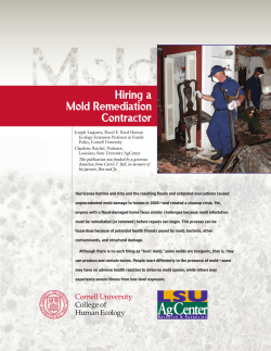 Hiring a Mold Remediation Contractor