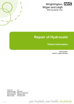 Repair of Hydrocele Patient Information