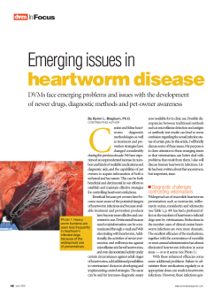 Emerging issues in heartworm disease