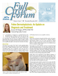 D Feline Dermatophytosis: An Update on Diagnosis and Treatment