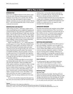 IPM for Fleas in Schools