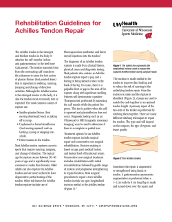 Rehabilitation Guidelines for Achilles Tendon Repair