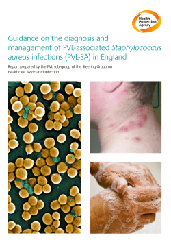 Guidance on the diagnosis and Staphylococcus infections (PVL-SA) in England aureus