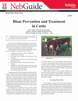 Bloat Prevention and Treatment in Cattle KLT 