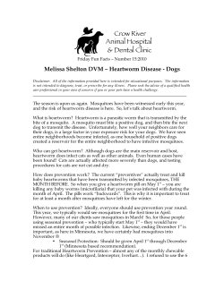 Melissa Shelton DVM – Heartworm Disease - Dogs