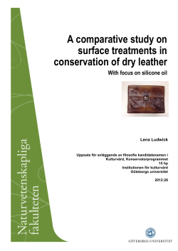 A comparative study on surface treatments in conservation of dry leather