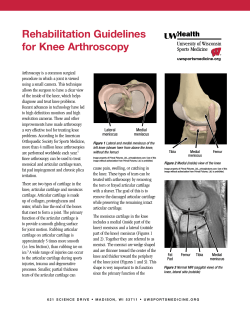 Rehabilitation Guidelines for Knee Arthroscopy