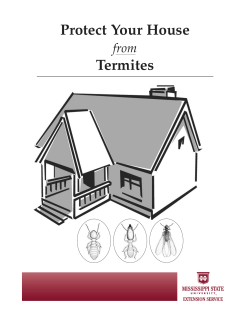 Protect Your House Termites from