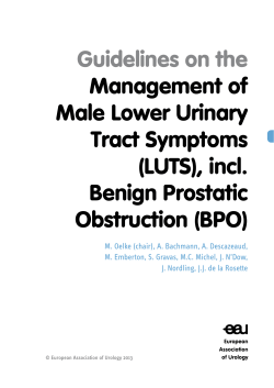 Guidelines on the Management of Male Lower Urinary Tract Symptoms