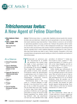 T  Tritrichomonas foetus: A New Agent of Feline Diarrhea